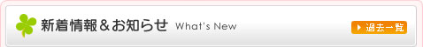 新着情報＆お知らせ What's New